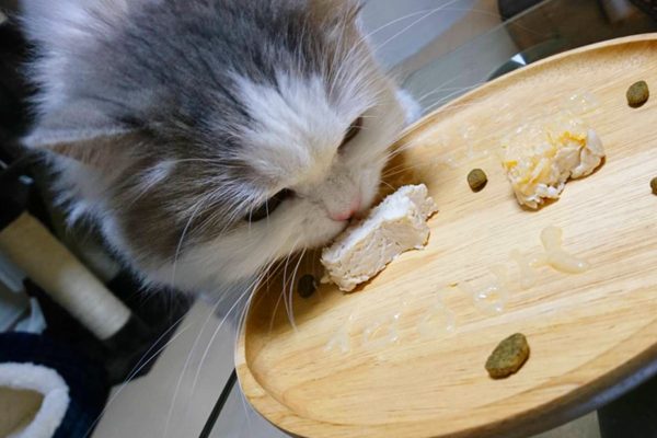 ［レシピ］愛猫へのお祝いにぴったり！ 鶏のささみを使った簡単ごちそうプレートの作り方