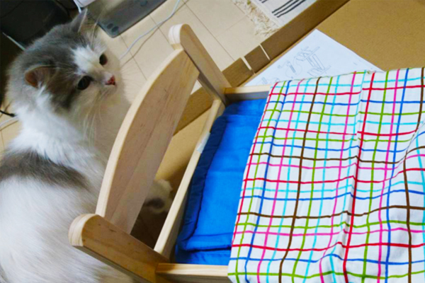 IKEAのペットシリーズ「LURVIG」がかわいい〜！ 猫にぴったりなベッドやトンネルを狙うべし