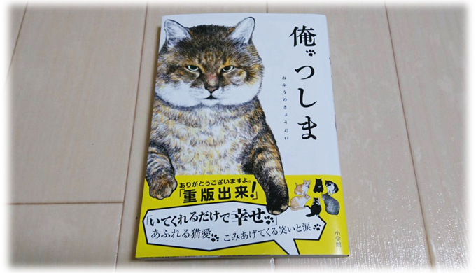 ＜おすすめ猫漫画6選＞ほっこり・爆笑・猫あるあるetc. 猫好き必見！