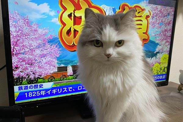 ［猫のおもしろ画像］それは笑う！ 自由気まますぎるお猫様の気まぐれ行動6選