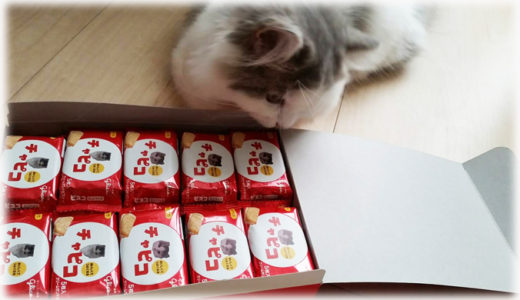 【チロルチョコ・ビスコ etc.】愛猫の写真で作成！ オリジナルパッケージのお菓子が可愛すぎる