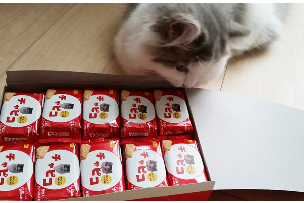 【チロルチョコ・ビスコ etc.】愛猫の写真で作成！ オリジナルパッケージのお菓子が可愛すぎる