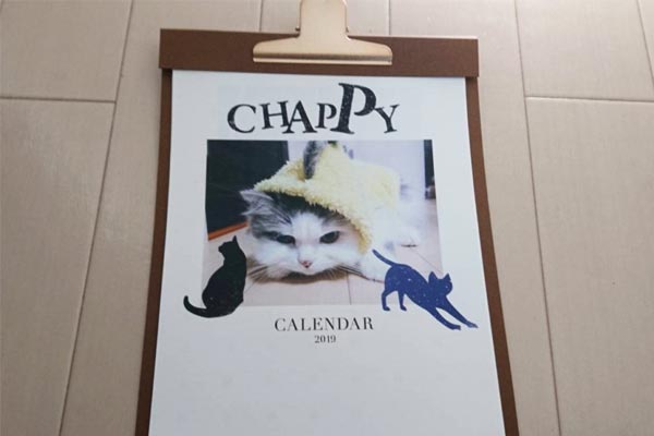 カメラのキタムラやるじゃん！ 愛猫の写真でオリジナルカレンダーが作れるって知ってる!?
