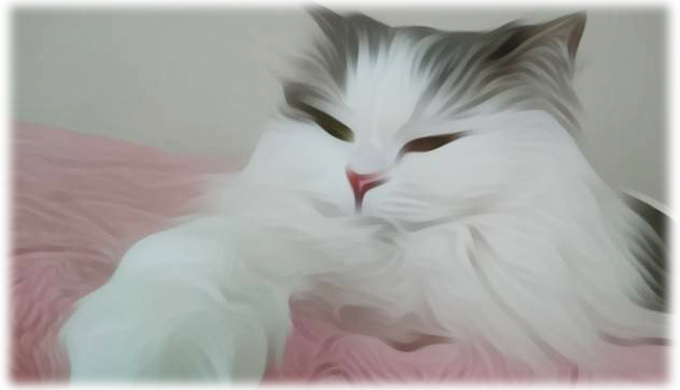 猫の写真を加工・アレンジするアプリ「PicsArt」が面白い！ どんなデザインができるの？