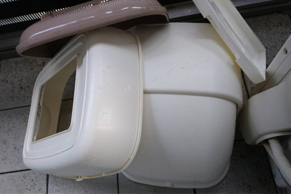 猫のトイレについて知ろう! どんな種類があるの? 掃除の頻度はどれくらい?