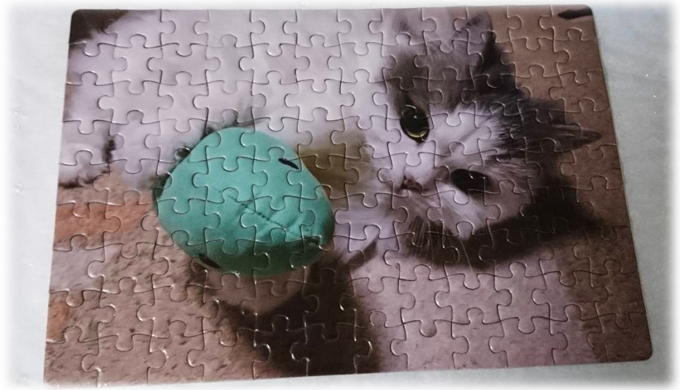 愛猫の写真がパズルになる!? 楽天で作れる「オリジナルパズル」を猫飼いが注文！
