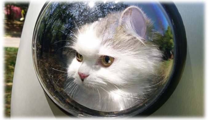 猫と一緒に宇宙へ冒険する気分!? ペット用キャリーバッグ“宇宙船リュック”が可愛すぎ！
