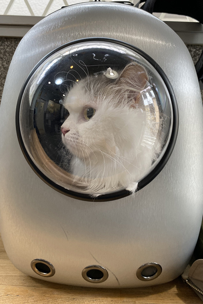 猫と一緒に宇宙へ冒険する気分!? ペット用キャリーバッグ“宇宙船リュック”が可愛すぎ！