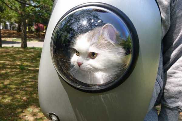 猫と一緒に宇宙へ冒険する気分!? ペット用キャリーバッグ“宇宙船リュック”が可愛すぎ！