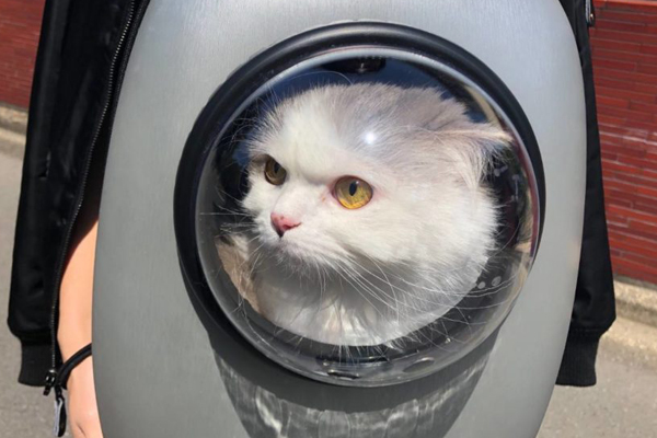 猫と一緒に宇宙へ冒険する気分!? ペット用キャリーバッグ“宇宙船リュック”が可愛すぎ！