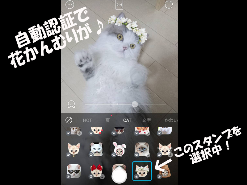 カメラが猫を認証する時代がやってきた。写真加工アプリ「snow」が面白すぎ！