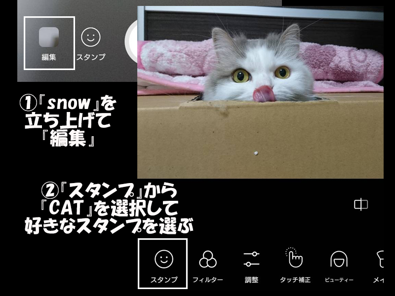 カメラが猫を認証する時代がやってきた。写真加工アプリ「snow」が面白すぎ！