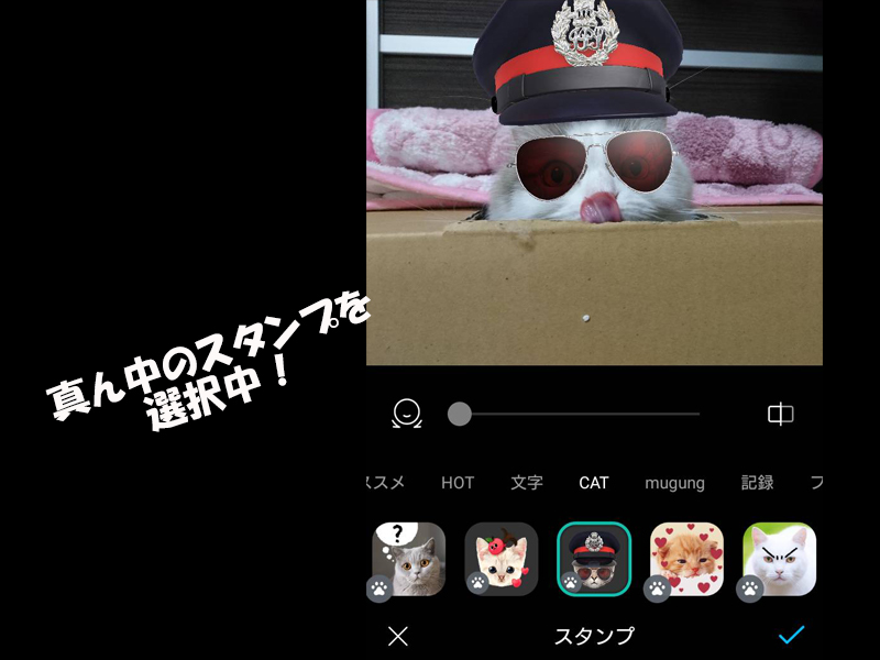 カメラが猫を認証する時代がやってきた。写真加工アプリ「snow」が面白すぎ！