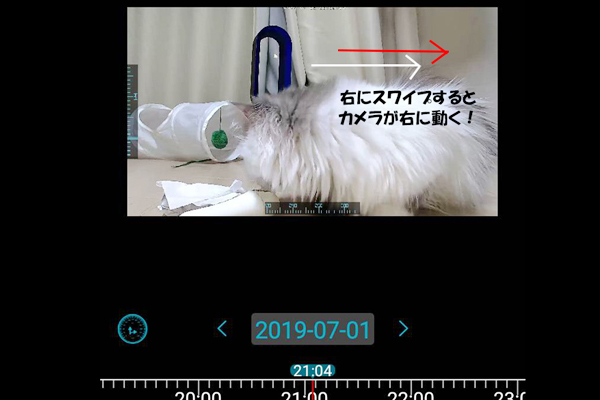 猫の行動がペットカメラで丸わかり!? 留守番中にどんなことをしているのかリアルレポ!!