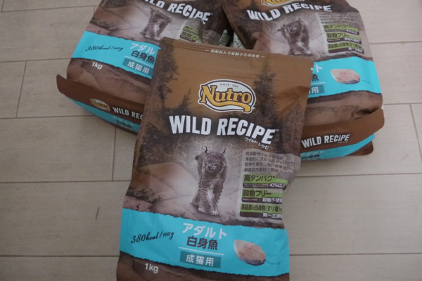 猫の防災対策のおすすめは？ポータブルケージなど非常事態に備えた便利グッズを一挙に紹介！