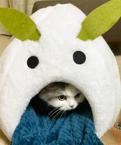 ［猫の防寒対策］おすすめのあったかグッズや家電 etc. 猫飼いが試したものをリアルレポ!!