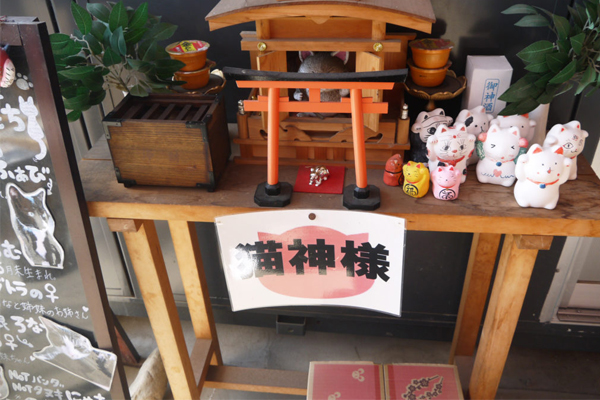 猫の御朱印がもらえる！ 猫飼いが栃木県の神社「下野大師」を訪問