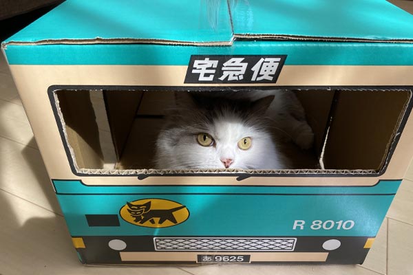 猫飼いはクロネコヤマトの「ウォークスルーボックス」をチェックすべし！ 猫ファーストを考えた工夫も公開