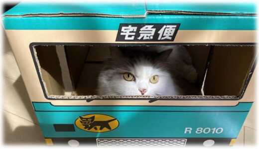 猫飼いはクロネコヤマトの「ウォークスルーボックス」をチェックすべし！ 猫ファーストを考えた工夫も公開